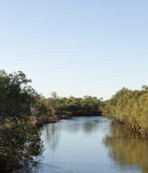 fitzroy%20river%2001.jpg