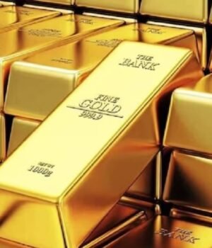 gold_1762846380349_1762846386363_1786077002550_512d9251-9669-4cd3-99a5-856648e79289.jpg