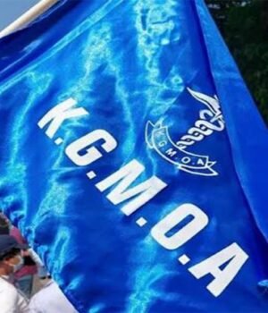 k2.jpg