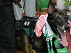 This dog tracked a poacher for 20 km. Meet K9 Leon, Kaziranga’s super sniffer