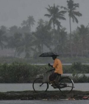 kerala-monsoon-rain.jpg