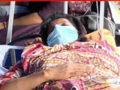 സെക്രട്ടേറിയറ്റിന് മുന്നിൽ പുല്ലുതിന്ന് ഉദ്യോഗാർത്ഥികളുടെ പ്രതിഷേധം; 34 ദിവസം പിന്നിട്ട് LPST റാങ്ക് ഹോൾഡേഴ്സ് സമരം