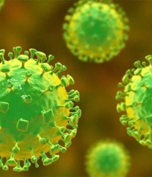 nipha-virus.jpg