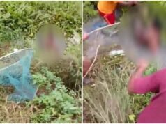 Odisha boy, 14, fights off wild boar in canal; rescued after fierce struggle
