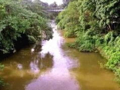 കോഴിക്കോട് പൂനൂർ പുഴയിൽ കാണാതായ വയോധികയുടെ മൃതദേഹം കണ്ടെത്തി