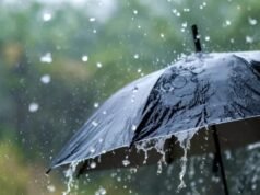 കനത്ത മഴ: എട്ട് ജില്ലകളിലെ വിദ്യാഭ്യാസ സ്ഥാപനങ്ങള്ക്ക് ഇന്ന് അവധി, സെറ്റ് ഉള്പ്പെടെ പരീക്ഷകള് മാറ്റി