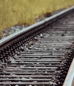 railway-police.gif