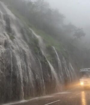 rain-ezremove.jpg