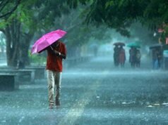സംസ്ഥാനത്ത് വീണ്ടും മഴ കനക്കുന്നു; നാളെ നാല് ജില്ലകളില് യെല്ലോ അലര്ട്ട്