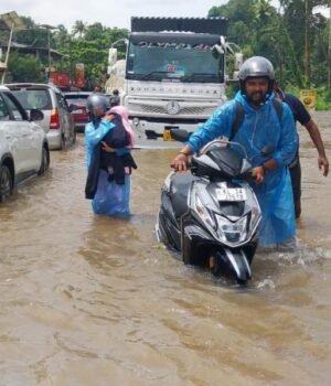 rain-ptm.jpg
