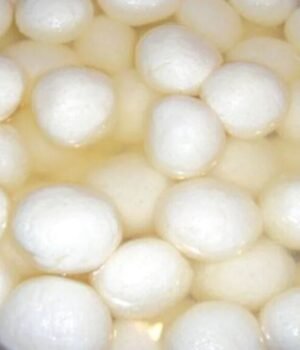 rasgulla-151149409-16x9.jpg