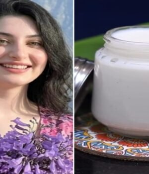 rice_cream_1785922865412_1785922872752_23f39315-654d-474e-96ce-6f9ba0a4ad45.jpg