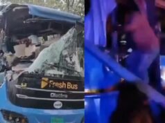 ഡിവൈഡറില് ഇടിച്ച ലോറിയിലേക്ക് സ്വകാര്യ ബസ് ഇടിച്ചുകയറി അപകടം; അഞ്ച് സ്ത്രീകളടക്കം ആറു പേര് മരിച്ചു