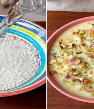 sabudana_kheer_recipe_1785574485156_1785574491530_b8421271-762d-4767-a160-a69a309287aa.jpg