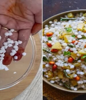 sabudana_making_tips_1786190298723_1786190304786_a12e048f-d7ba-47bf-be65-e2521b3cfc89.jpg