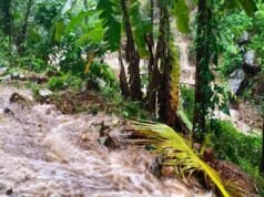 കണ്ണൂര് താബോറില് ഉരുള്പൊട്ടിയതായി സംശയം; ഉദയഗിരി-താബോര് ചുരം റോഡ് താല്ക്കാലികമായി അടച്ചു