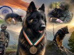 Meet Tyson, the only Army dog honoured on Independence Day for his bravery this year