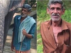 തുമ്പിക്കൈയിലെ മുറിവില് മരുന്നു വയ്ക്കാന് ശ്രമിക്കുന്നതിനിടെ ആന പാപ്പാനെ കൊലപ്പെടുത്തി