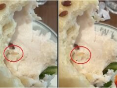 ‘Where’s the apology?’ Gurugram’s Paul outlet faces flak over worm in sandwich