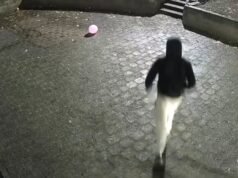 CCTV captures suspects in fatal Sydney stabbing at Waterloo apartments