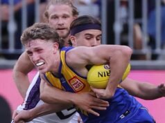 AFL grand final: West Coast star Willem Duursma’s message for Fremantle Dockers fans