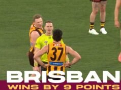 AFL chief operating officer Tom Harley defends fines for Hawthorn’s umpire approach
