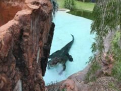 Police charge two teenagers over shocking Perth Zoo crocodile break-in incident