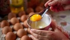 पिवळा बलक खाल्ल्याने हार्ट अटॅक येतो का? दिवसाला किती अंडी खावीत? महत्त्वाचे 7 मुद्दे