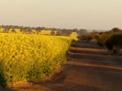 Migration changes will hurt key WA sectors