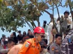 Desperate final moments before Queensland woman Brianna Cronin fell to her death at beach in Nusa Penida, Bali
