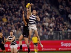 ‘What you live for’: Cats ruck relishes AFL final debut
