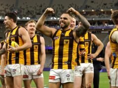 Relentless Hawks embrace pressure in AFL finals stunner