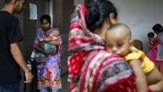 হামে মৃত্যুর সংখ্যা হাজার ছুঁই ছুঁই, পাঁচ মাস পরেও কেন থামানো যাচ্ছে না?