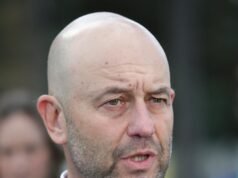 Cricket NSW issues scathing criticism of Cricket Australia’s BBL private investment plan