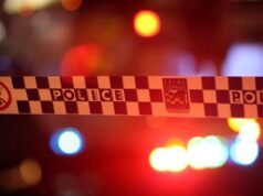 Elderly woman dies, man arrested after alleged stabbing