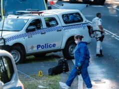 Mum charged with murder after boy, 5, dies in horror Blue Mountains stabbing