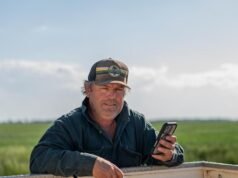 Hey Farm Assistant: farmers adding AI to their toolkits