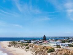 Hero teens use surfboard ripcord to tourniquet leg of shark attack victim
