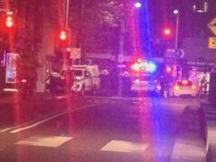 Female police officer dies after marked vehicle crashes into tree in Redfern