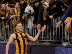 Hawks’ ‘pawn’ out to checkmate Lions in AFL final