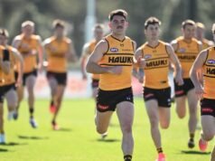 AFL introduce training limits over concussion concerns
