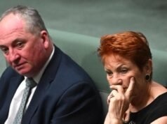 ‘Lying cowards’: Liberal MP unloads on Hanson and Joyce