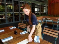 Businesses scramble for staff as migration cuts loom