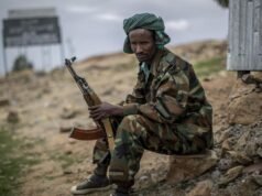 Ethiopian army claims success against Tigray rebels