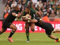 Springboks make two changes for final New Zealand Test