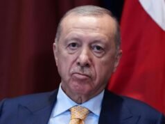 Comedian convicted of insulting Turkish president