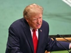 Albanese at odds with Trump on calls to slow down AI