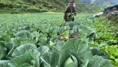 नेपाल का ‘काला गांव’ जहां नहीं आई बाढ़ फिर किस लिए परेशान हैं यहां के लोग