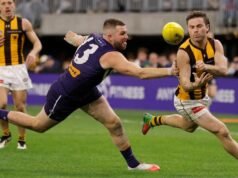 Wizard dazzles as Hawks stun Dockers in Perth boilover