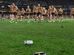 Hawks and their fans rage after devastating AFL loss